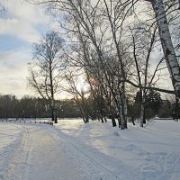 Зимний пейзаж :: Ольга Довженко