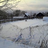 зимние каникулы для огородников :: Любовь 