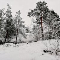 Стокгольмский снегопад :: wea *