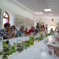 На дегустации вин в "Солнечной долине" ... :: Леонид Корчевой