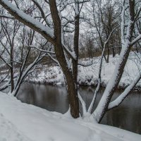 Дерево Зимой :: юрий поляков