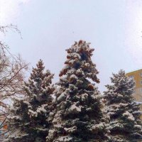 одесская зима :: Александр Корчемный