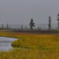 Осень время туманов. :: Леонид Балатский