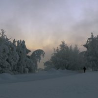 Зима в тумане :: Ольга 