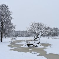 Зима-21 :: Надежда Буранова 