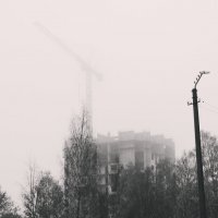 Туман. :: Sergey ///