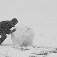 Снегозаготовка 2020 :: Владимир _