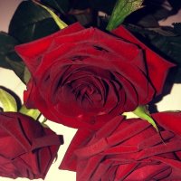 Розы в моём сердце навсегда... :: Татьяна 