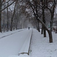 Аллея на улице Севастопольской :: Валентин Семчишин