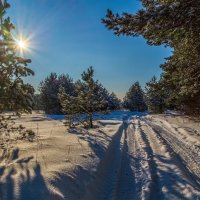 Мороз vs. Солнца # 2 :: Андрей Дворников