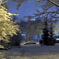 Зима в свете фонарей :: Ирина Олехнович