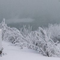 Зимние зарисовки :: Елена Перминова