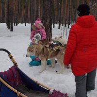 Дети и собаки :: Galina Solovova