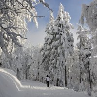 С Крещением ! :: tamara *****