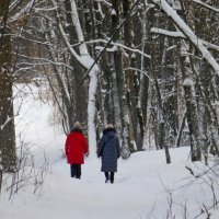 Прогулка в зимнем лесу :: Raduzka (Надежда Веркина)