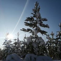 Рассвет в зимнем лесу :: Илья Горбиков