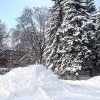 Снежным днем :: Елена Семигина