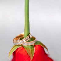 Wedding rings :: Зоя Галимова