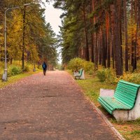 В осеннем парке :: Анатолий Володин