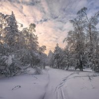 Все тропинки снежком запорошены :: Vladimbormotov 