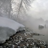 В тумане зимнего заката... :: Андрей Войцехов
