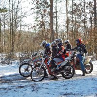 Спортсмены-мотоциклисты тоже тренируются в лесу ) :: Тамара Бедай 