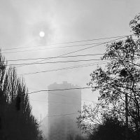 Туман :: Sergii Ruban