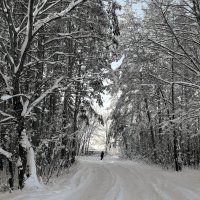 По дороге на хутор... :: Андрей Заломленков