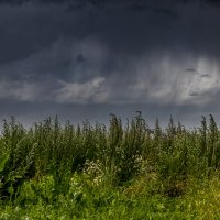 Может быть, пройдет стороной :: Игорь Викторов