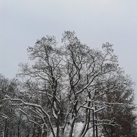 *** :: Валентина Береснева