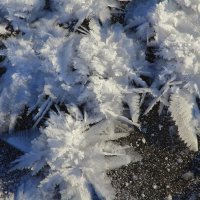 Снежинки на льду таежной реки :: Нина северянка