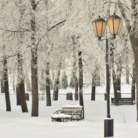 Под покровом снега. :: Татьяна Помогалова