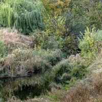 Осеннее буйство природы :: Владимир Кроливец