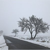 Туман. :: Валерия Комова