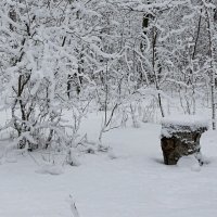 Снежный январь. :: Милешкин Владимир Алексеевич 