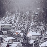 Зима :: Олеся Семенова