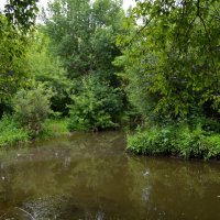 Красный Сулин. Впадение реки Гнилуши в реку Кундрючью. :: Пётр Чернега