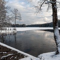 Зима идет :: Roman Zateshilov