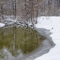 Зимняя рыбалка :: Александр Крупский