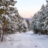 Зима :: Анатолий Володин