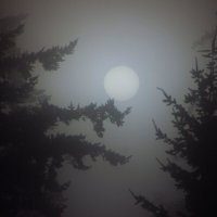 Луна :: Sergey Krivtsov
