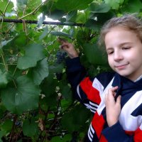Вот и орский виноград! :: Елизавета Успенская