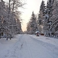 Зимой на даче :: Ольга Довженко