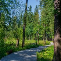 Дорожка через парк. :: Дмитрий Карасев