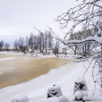 Зима в Петергофе :: Роман Алексеев