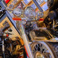 Harley Davidson :: Maxim Polak