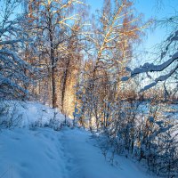 зима :: Андрей Шуляк