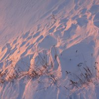 Отражение заката на снегу. :: сергей 