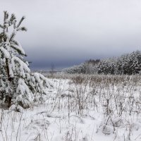 Видна в дали.. синева снежной тучи.. :: оксана 