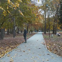 Осень в  Гагаринском парке :: Валентин Семчишин